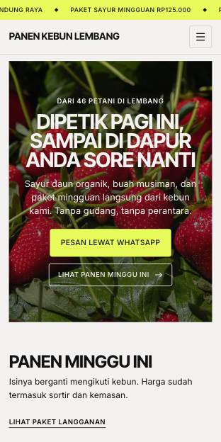 Tampilan template Limau musiman di ponsel